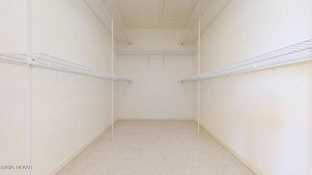 walk in closet featuring light colored carpet