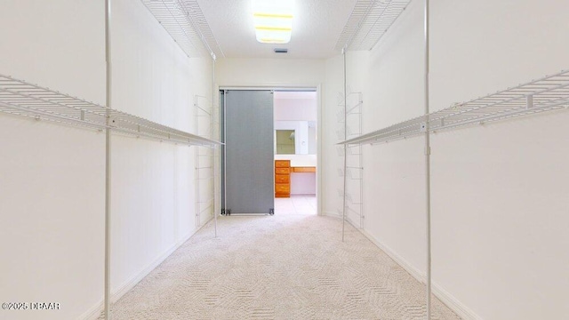 spacious closet featuring carpet flooring