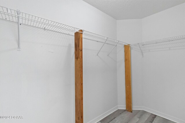 spacious closet featuring wood-type flooring