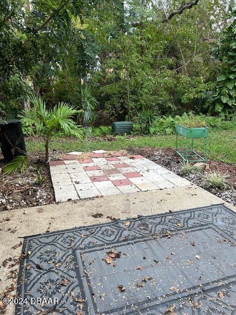 view of yard featuring a patio