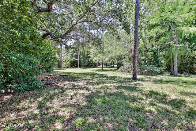 2 Huntsman Look, Ormond Beach, FL 32174 - view of grassy yard