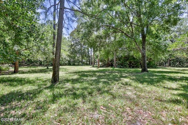 2 Huntsman Look, Ormond Beach, FL 32174 - view of green lawn