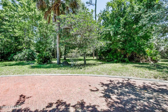 2 Huntsman Look, Ormond Beach, FL 32174 - view of green lawn