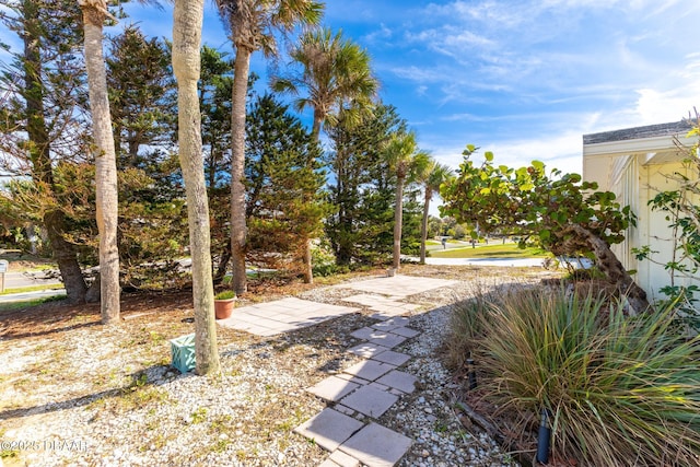 4328 S Atlantic Ave, Ponce Inlet, FL 32127 - photo 5