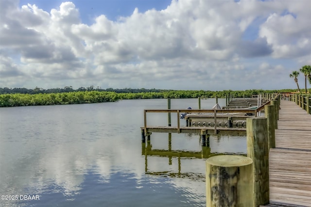 43 Jacaranda Cay Ct Unit 430, New Smyrna Beach, FL 32169 - dock area with a water view