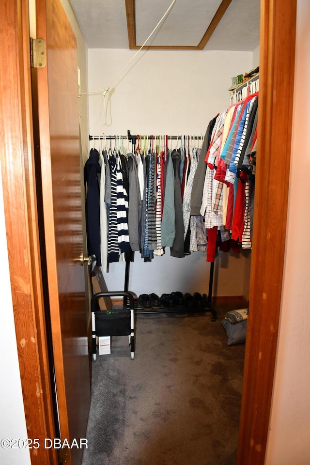 walk in closet with carpet flooring