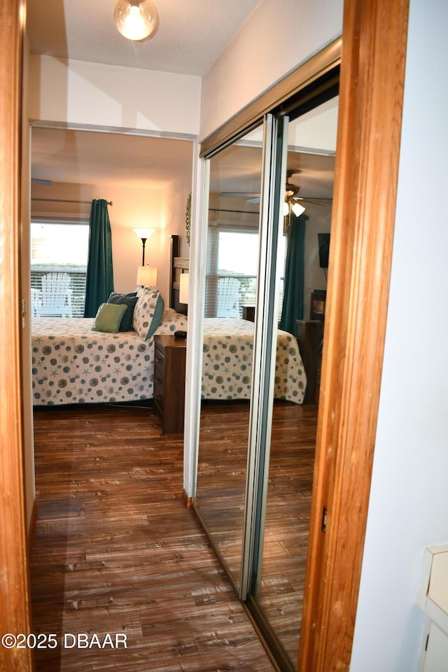 hallway featuring dark wood finished floors