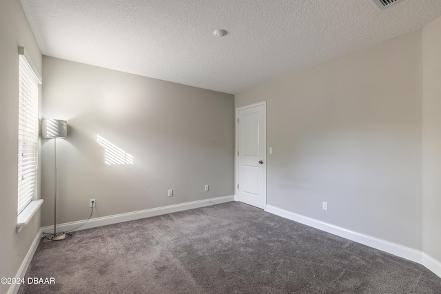 carpeted empty room with a textured ceiling and plenty of natural light