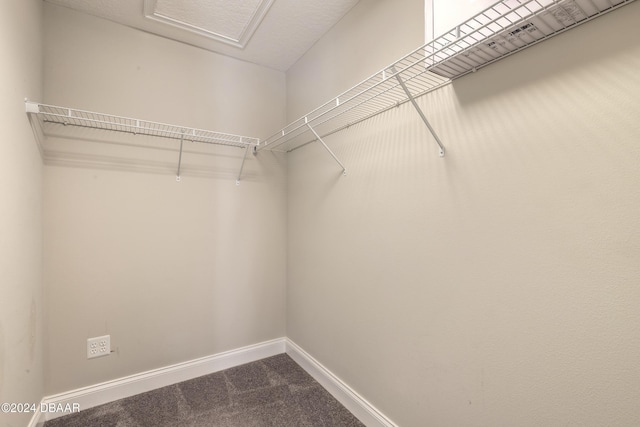 walk in closet featuring carpet floors