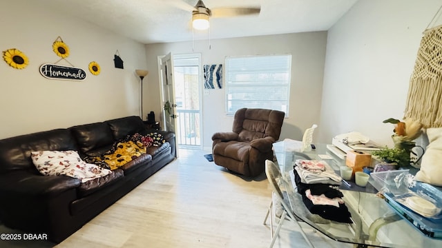 living room with ceiling fan and light hardwood / wood-style flooring