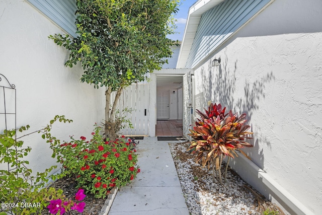 view of entrance to property