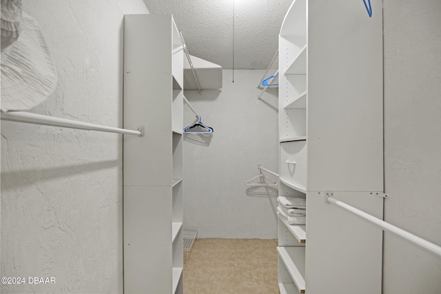 walk in closet featuring light colored carpet