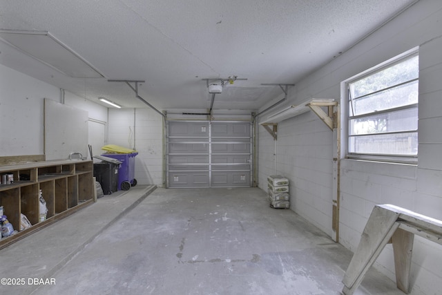 1704 Travelers Palm Dr, Edgewater, FL 32132 - garage with a garage door opener and concrete block wall