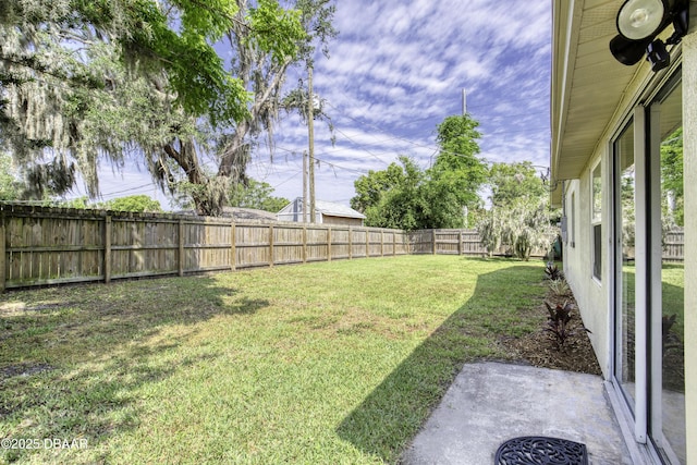 1704 Travelers Palm Dr, Edgewater, FL 32132 - view of yard