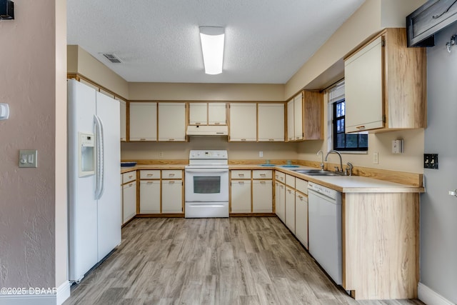 kitchen with a sink, light wood-type flooring, visible vents, white appliances, and under cabinet range hood