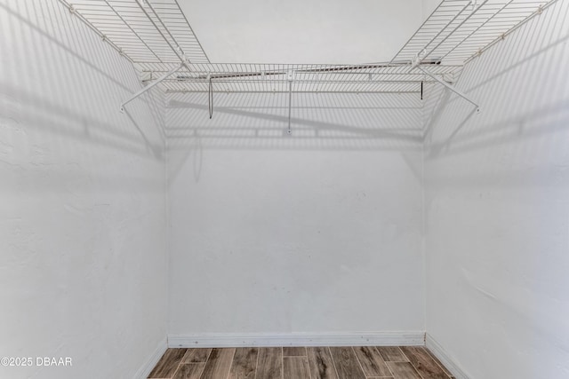 spacious closet featuring wood finished floors