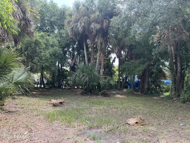 321 Rose Ave, Daytona Beach, FL 32114 - photo 1