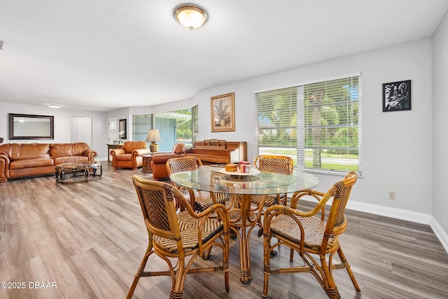49 Bosarvey Cir, Ormond Beach, FL 32176 - dining area with baseboards and wood finished floors