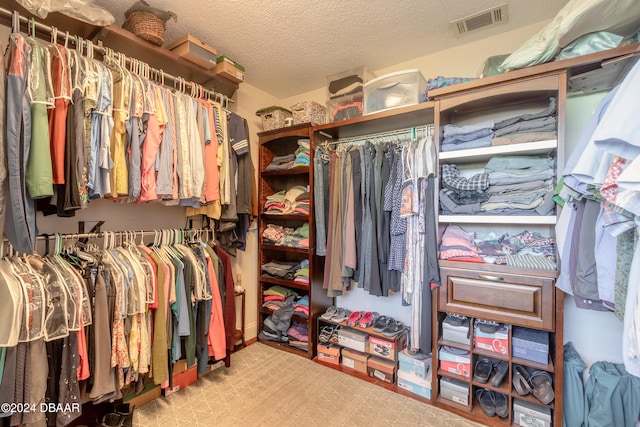 view of spacious closet