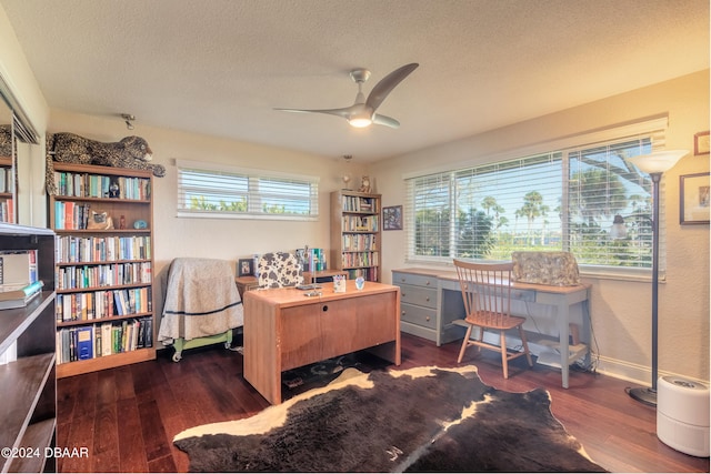 office space featuring ceiling fan, a textured ceiling, and dark hardwood / wood-style flooring