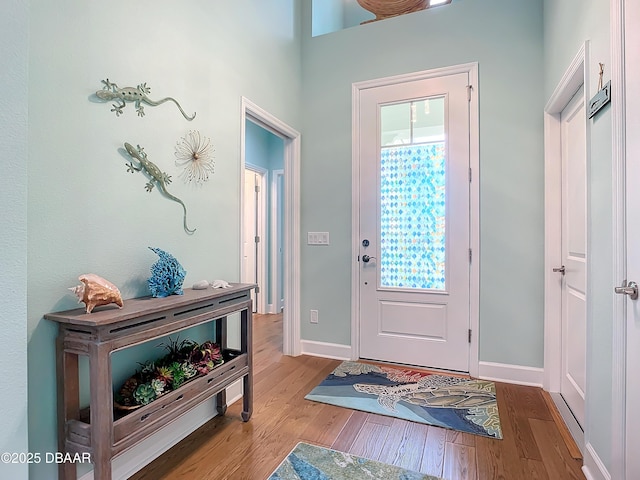 foyer featuring light hardwood / wood-style floors and a high ceiling