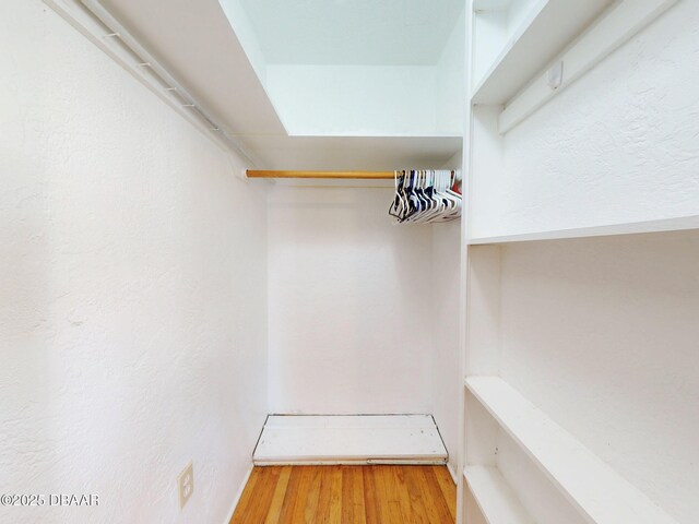 walk in closet with hardwood / wood-style floors