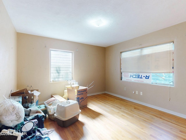 living area featuring a healthy amount of sunlight and light wood-type flooring