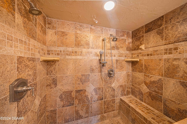 3855 S Atlantic Ave Unit 1004, Daytona Beach Shores, FL 32118 - bathroom view of a tile shower