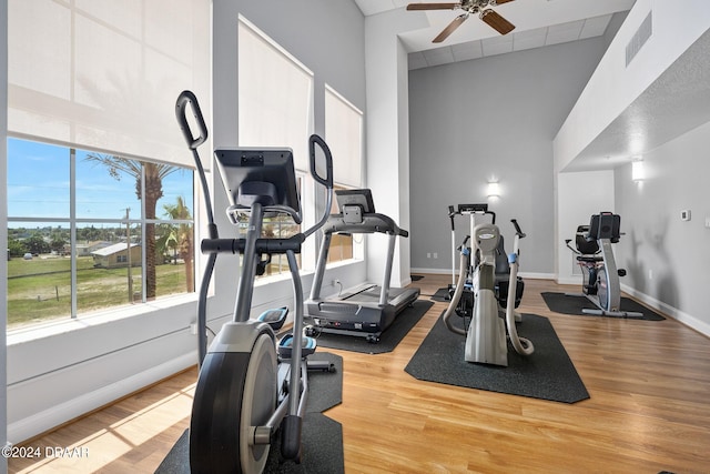 exercise room with hardwood / wood-style flooring and ceiling fan