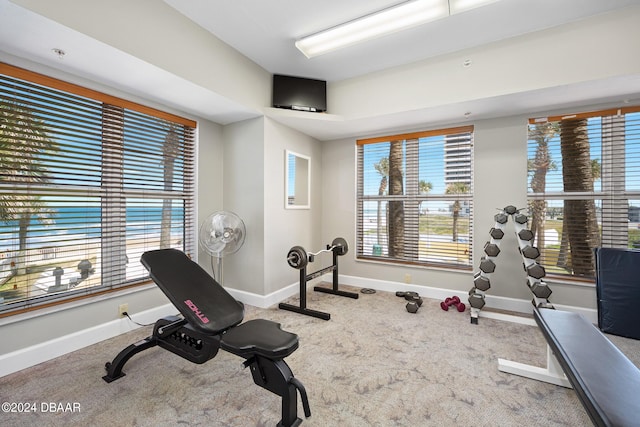 exercise room featuring carpet flooring