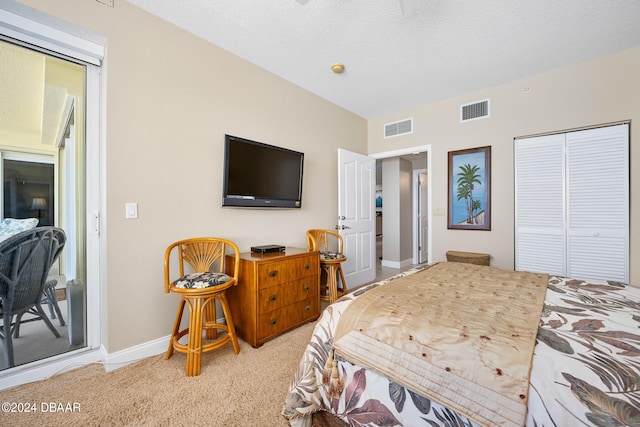 carpeted bedroom featuring access to exterior, a textured ceiling, and a closet