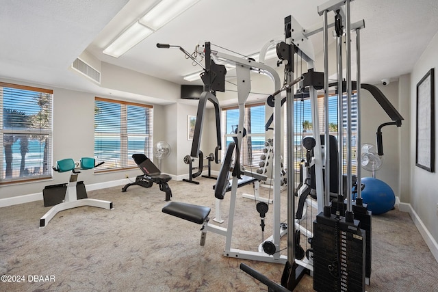 exercise room featuring a textured ceiling and carpet flooring