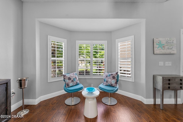 sitting room featuring dark wood-type flooring