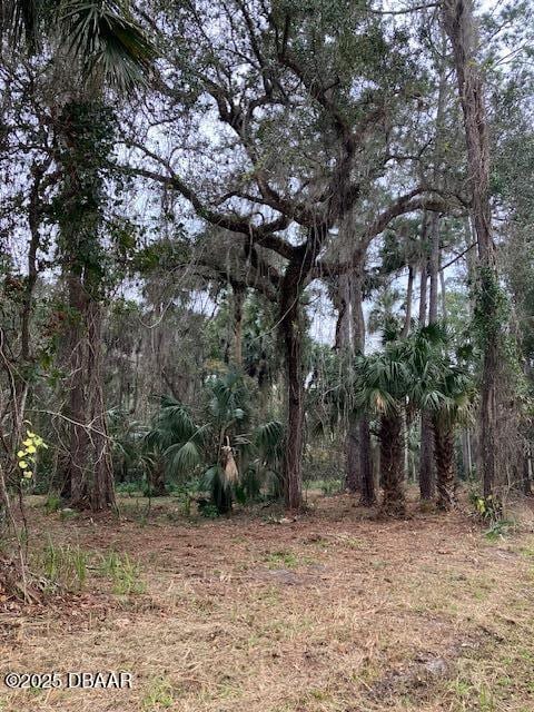 Listing photo 2 for 0 Shell Harbor Rd, Pierson FL 32180