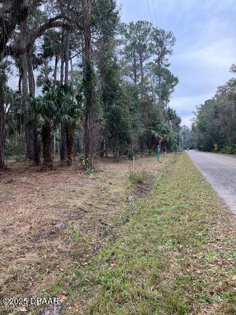 Listing photo 3 for 0 Shell Harbor Rd, Pierson FL 32180