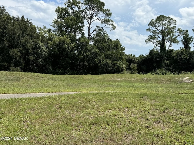 240 Bob White Ct Unit 2400, Daytona Beach, FL 32119 - photo 16