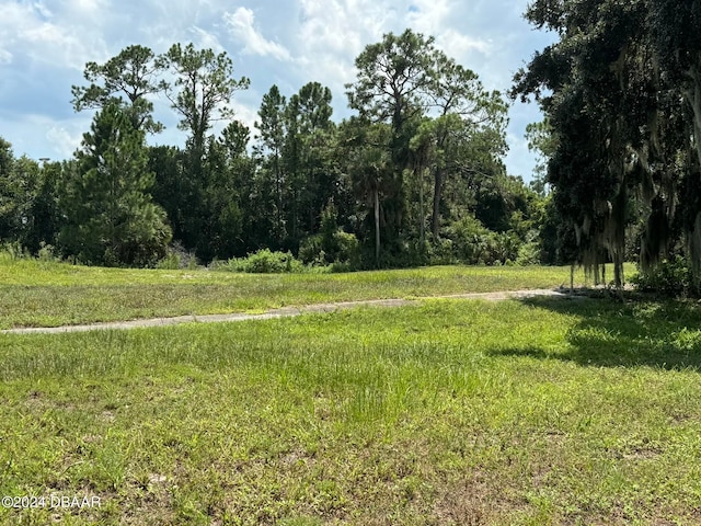 view of local wilderness