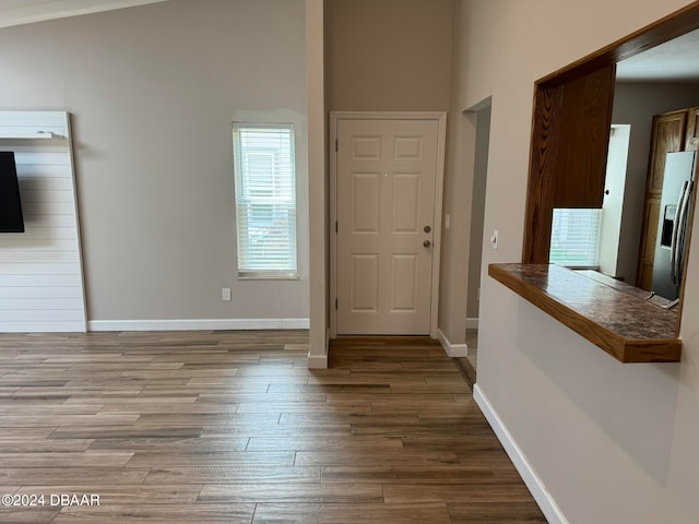 foyer entrance with wood-type flooring