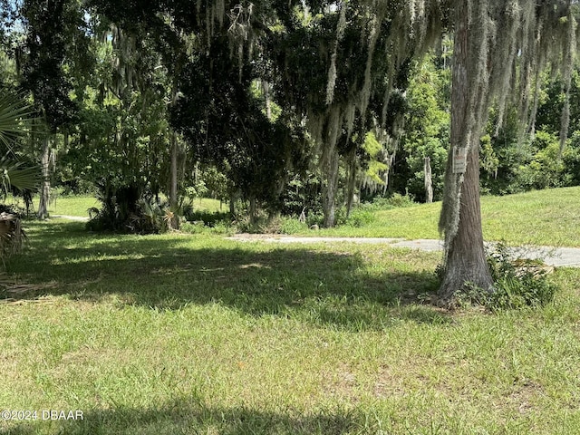 240 Bob White Ct Unit 2400, Daytona Beach, FL 32119 - photo 15