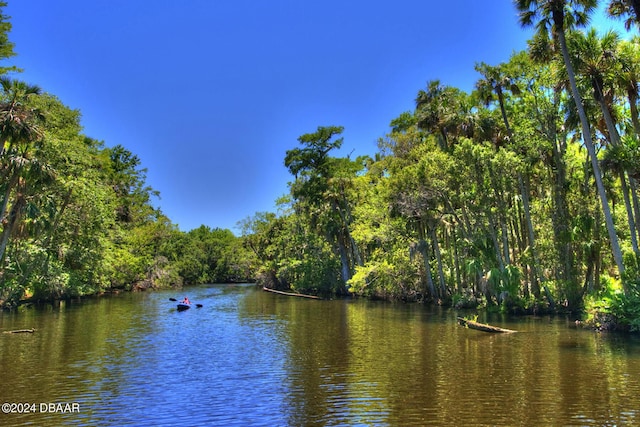 2051 Cornell Pl Unit 26, Port Orange, FL 32128 - water view with a heavily wooded area