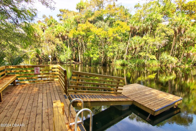 dock area with a water view