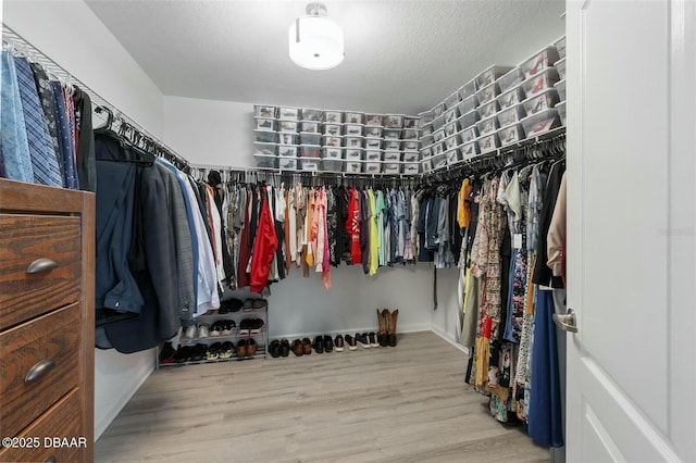 walk in closet featuring wood-type flooring