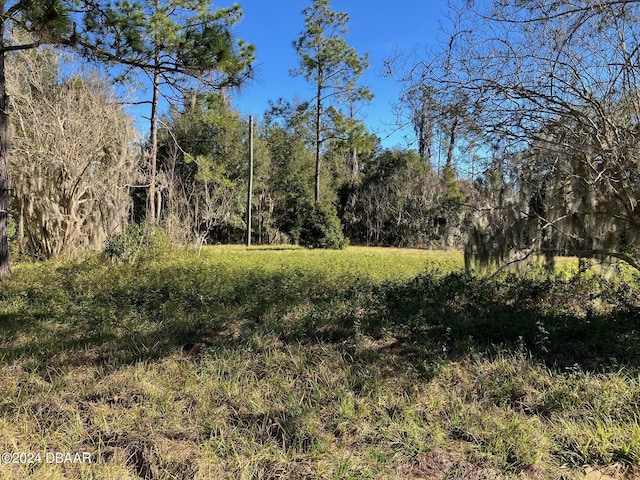 2700 SE Maricamp Rd, Ocala, FL 34471 - photo 4