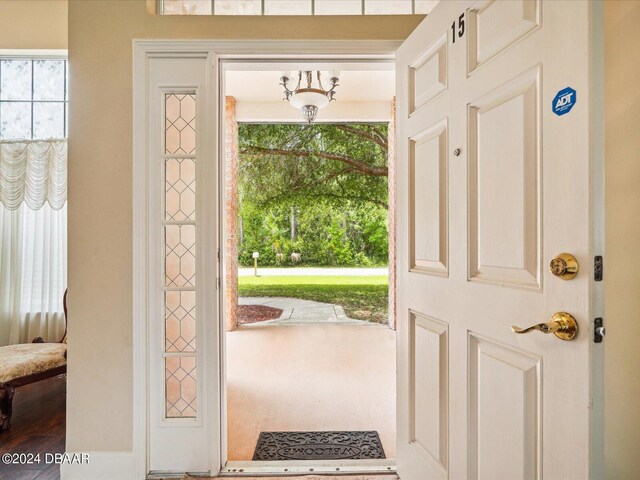 doorway to outside featuring a wealth of natural light and wood-type flooring