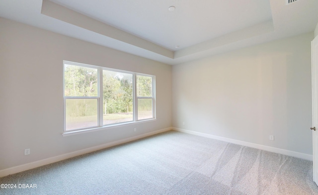 carpeted empty room with a raised ceiling