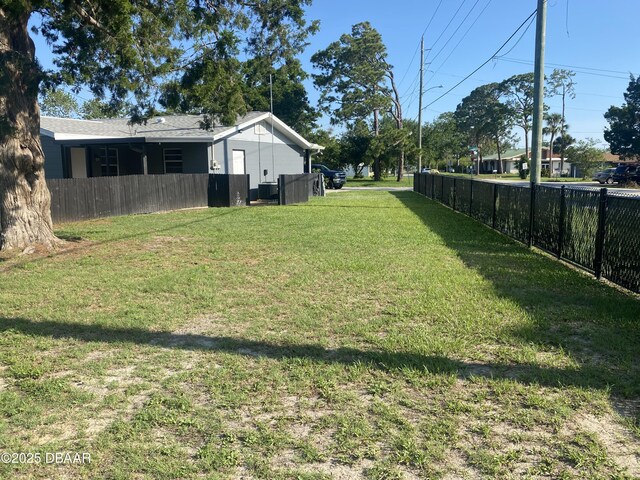 304 Jane Ann St, Port Orange, FL 32127 - view of yard