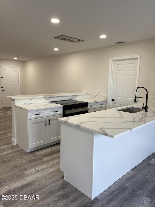 304 Jane Ann St, Port Orange, FL 32127 - kitchen with dark wood-style flooring, white cabinetry, light stone counters, and recessed lighting