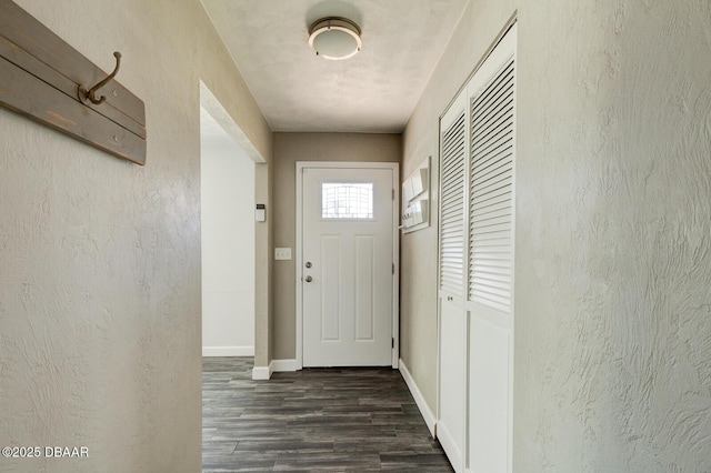 entryway featuring dark wood-type flooring