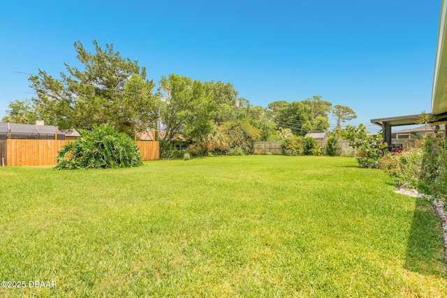 3035 Victory Palm Dr, Edgewater, FL 32141 - view of yard