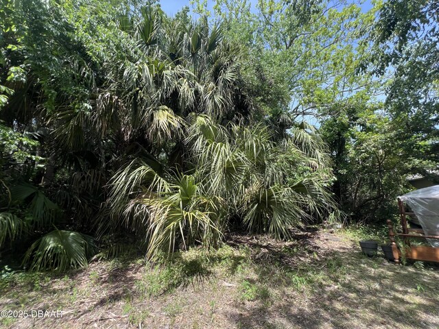 299 Washington Pl, Ormond Beach, FL 32174